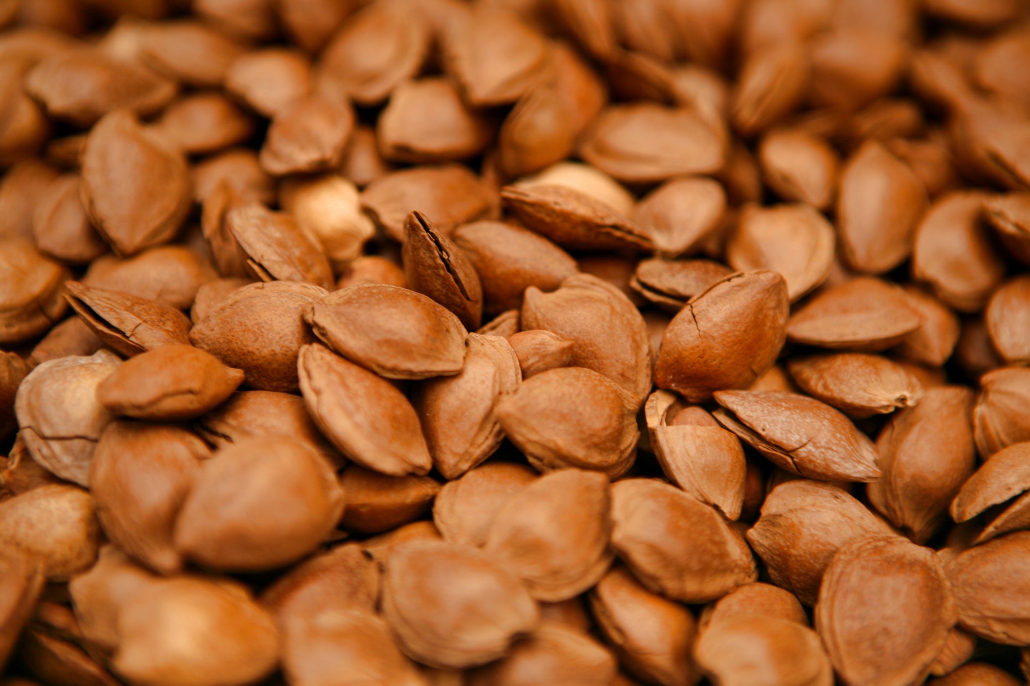 Apricot kernel oil